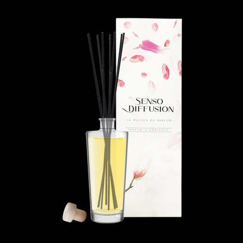 Diffuseur Bâtonnets + 1 Parfum à choisir